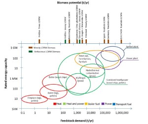 Figure 2: Relationship between typical capacity of conversion technologies and feedstock demand.