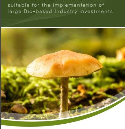 BIC Launches New Report to Help Bioeconomy Projects Access Finance