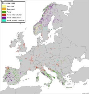 Fig. 5 - Identified marginal land appropriate for biomass production using selected bioenergy crops which is based on SEEMLA GIS tool.