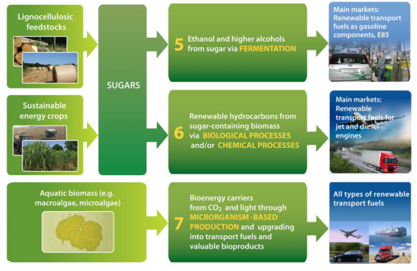 Bioenergy And Biofuels: Innovation And Technology Progress