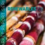 IEA “Renewables 2018” Report: an Outstanding Modern Bioenergy